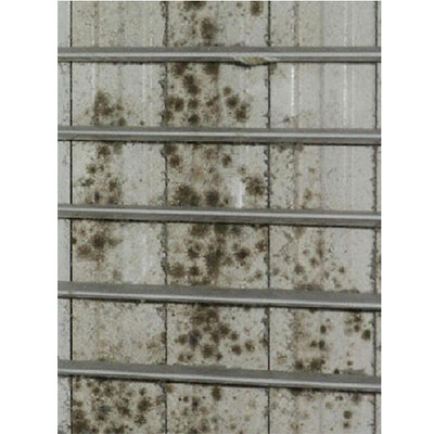 mold on ac duct register